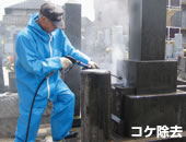 コケ除去